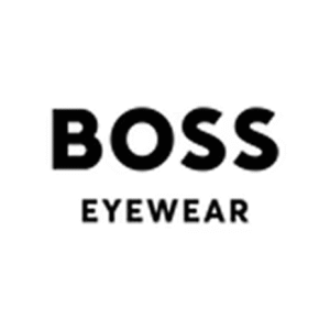 Link → boss-coleccion.png